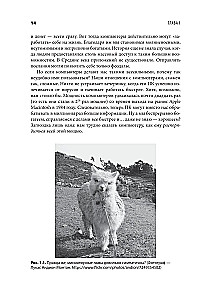 Дружелюбный код. Как программировать легко и просто